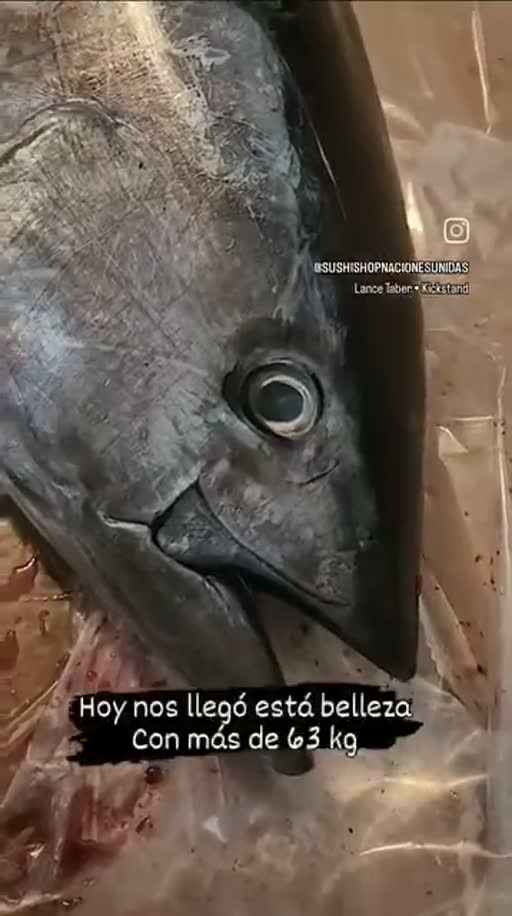 Cuadro 1 del anuncio de restaurante de sushi